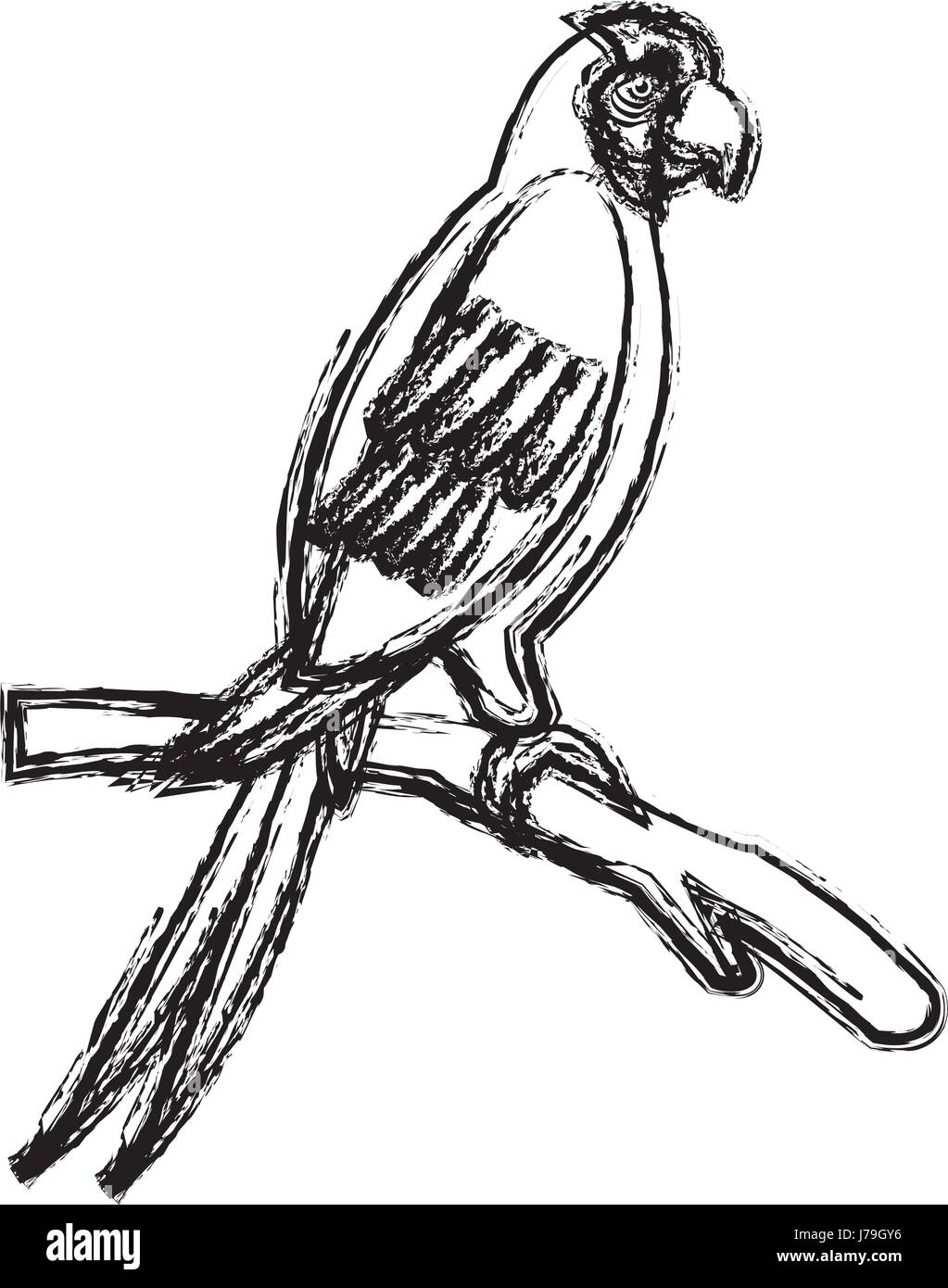 Amazon macaw bird Brésil vie sauvage libre Illustration de Vecteur