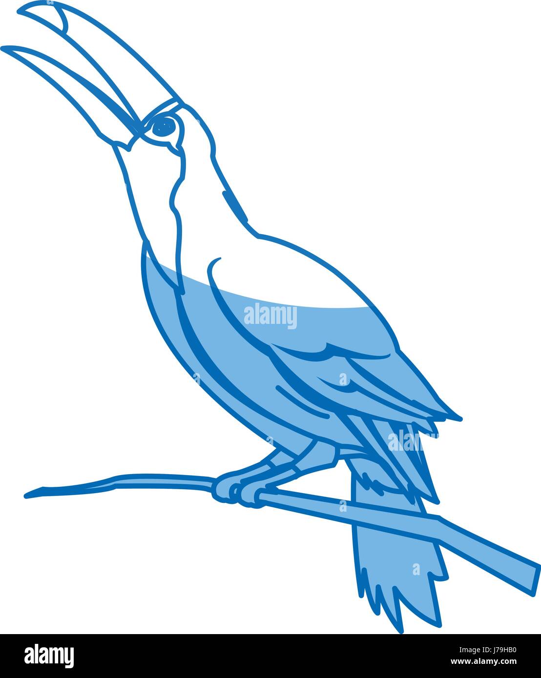 Toucan oiseau sur la nature au Brésil Illustration de Vecteur