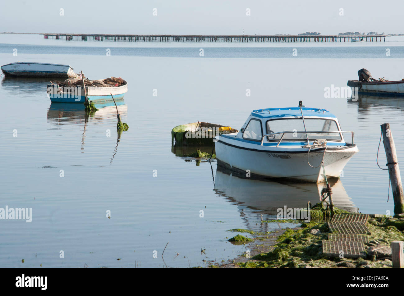 Paysages du Delta de l'Ebre Parc Naturel. Banque D'Images