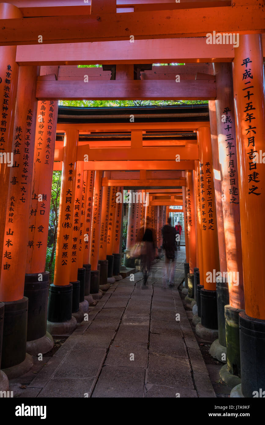 Deux personnes marcher dans le chemin de torii dynamique alors qu'un autre se présente. Hits de végétation luxuriante peut être vu dans le torii entre les lacunes. Banque D'Images