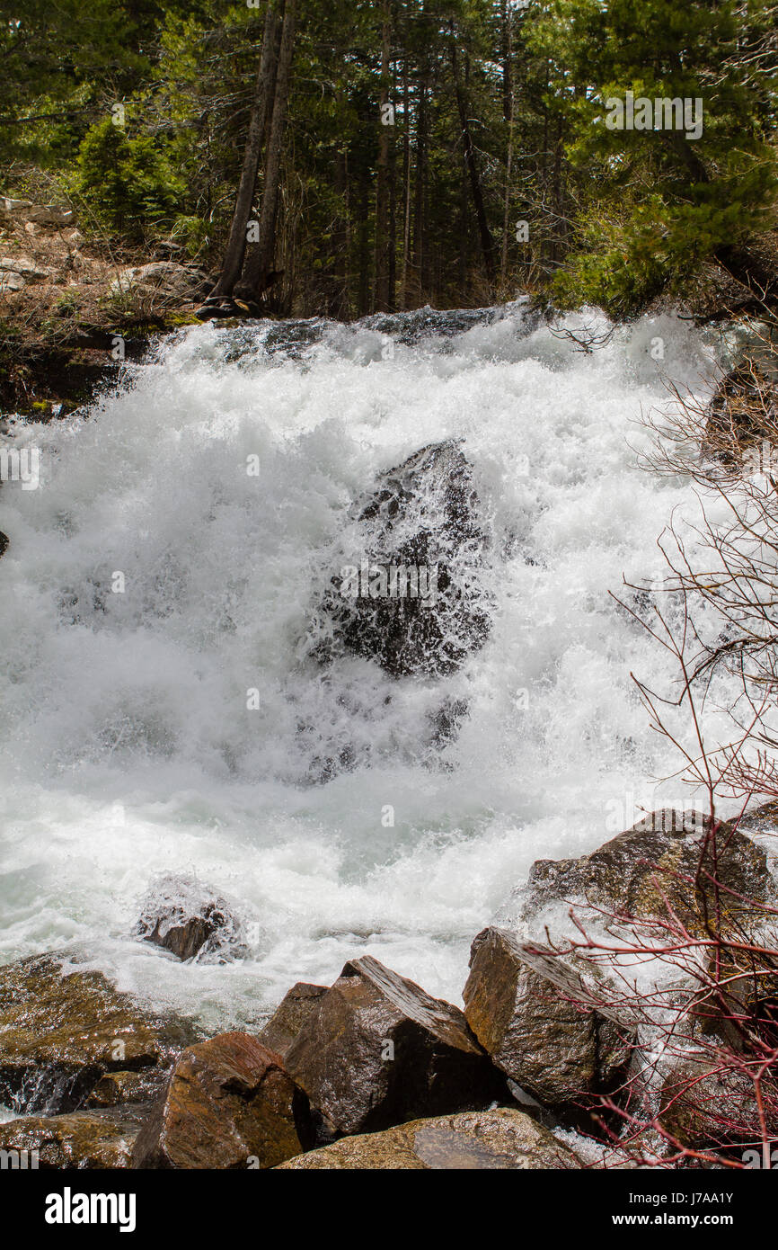 Courant Rapide de Lee Vining Creek de la fonte complète de l'écoulement dans les montagnes de la Sierra Nevada en Californie en 2017 après des années de sécheresse ont une fin. Banque D'Images