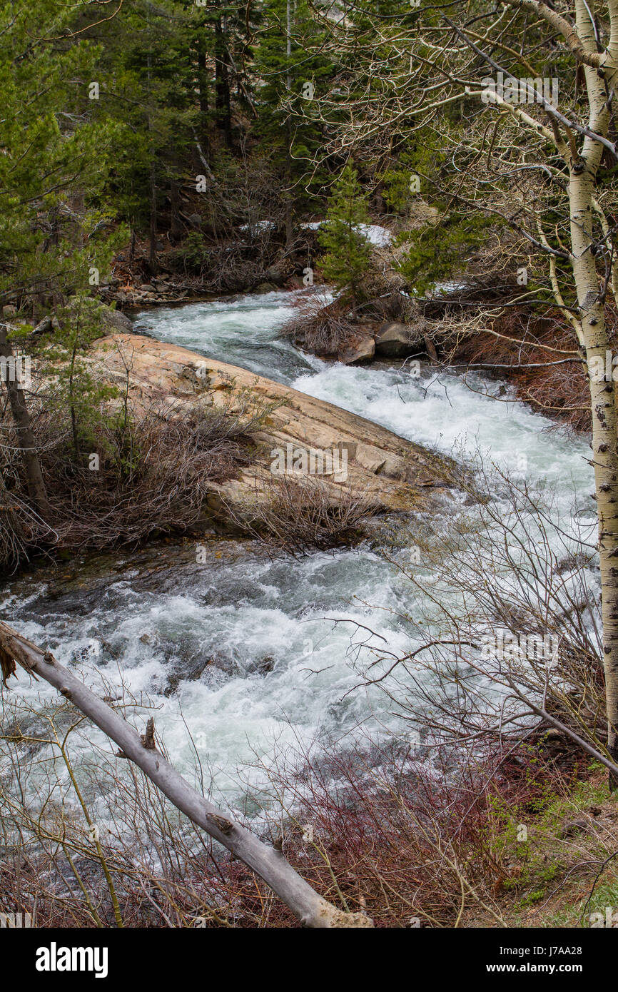 Courant Rapide de Lee Vining Creek de la fonte complète de l'écoulement dans les montagnes de la Sierra Nevada en Californie en 2017 après des années de sécheresse ont une fin. Banque D'Images