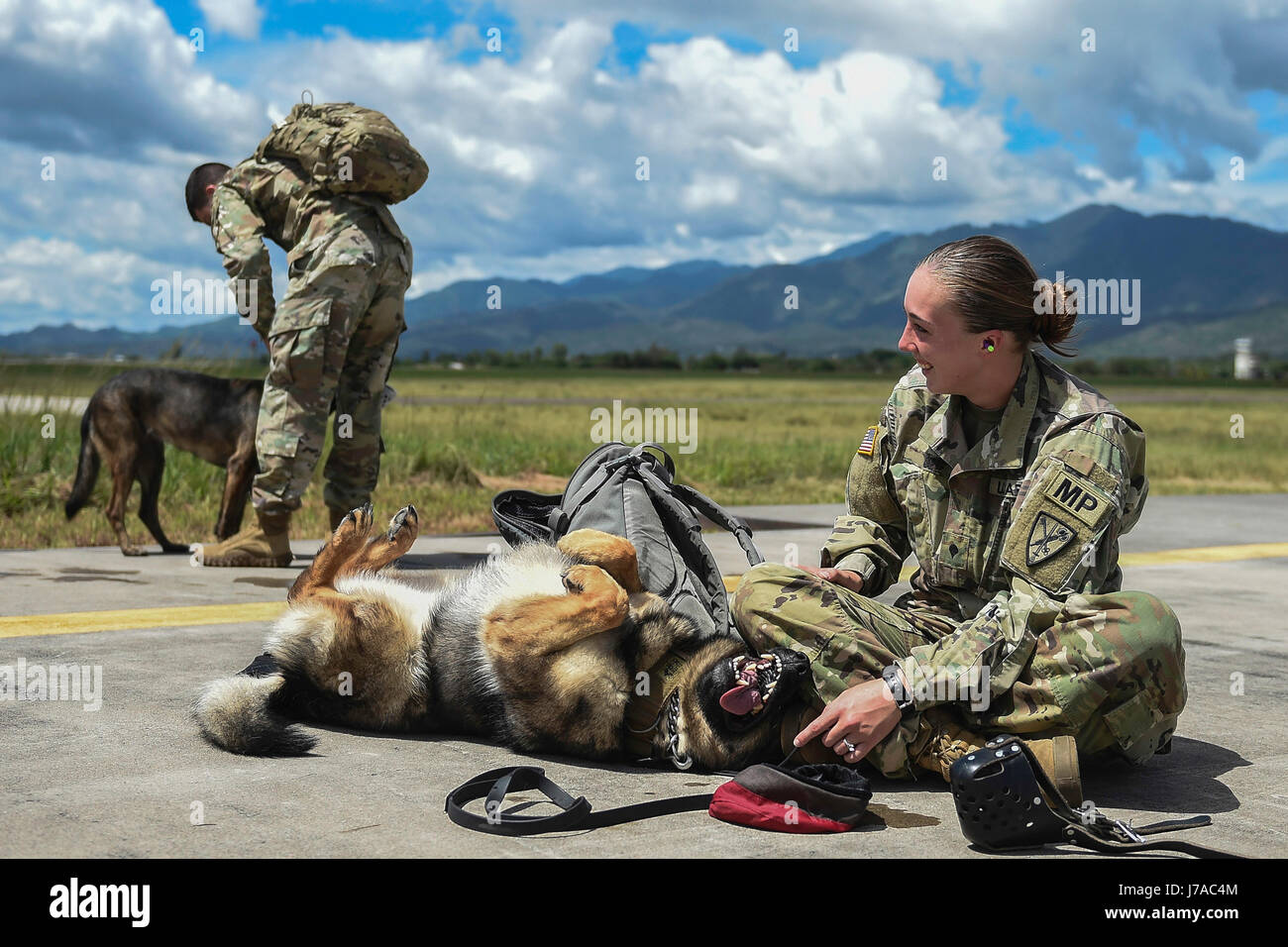 Spécialiste de l'armée américaine et son chien de travail militaire. Banque D'Images