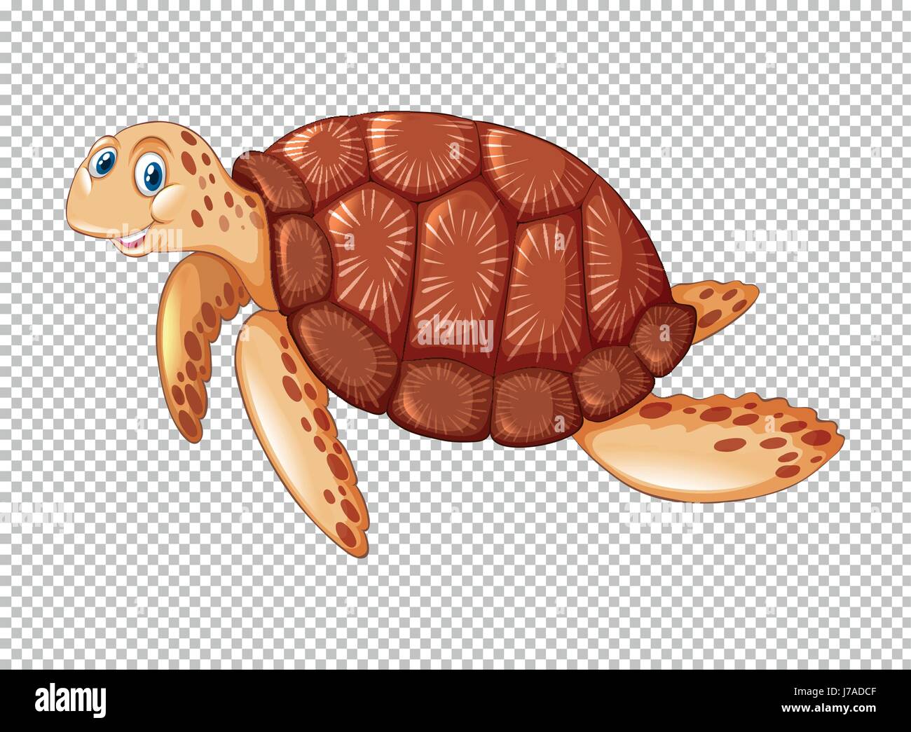 Une tortue de mer sur fond transparent illustration Illustration de Vecteur