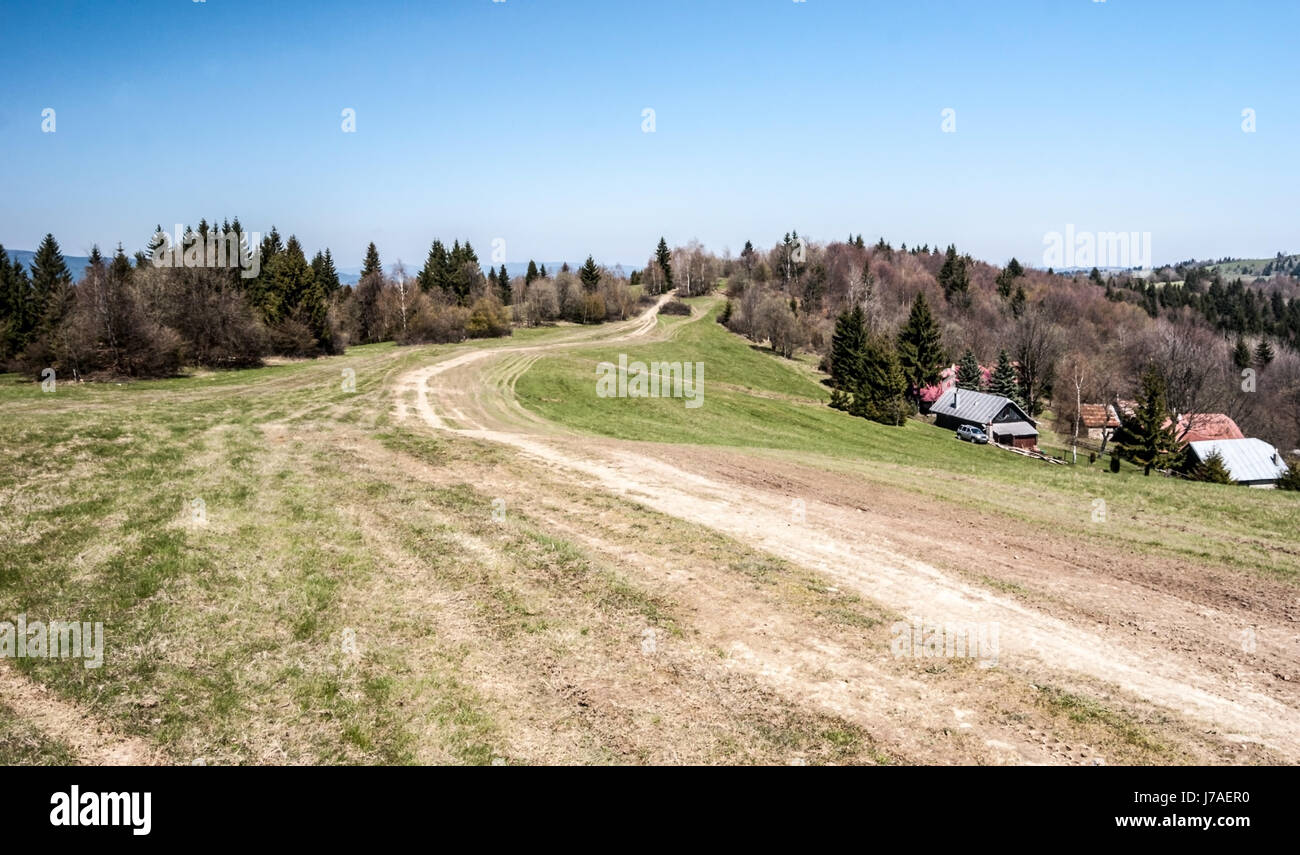 Sentier de randonnée de montagne avec prairie, quelques maisons, forêt et ciel clair ci-dessous jakubovsky vrch dans javorniky mountains dans la région de Kysuce Slovaquie pendant Banque D'Images