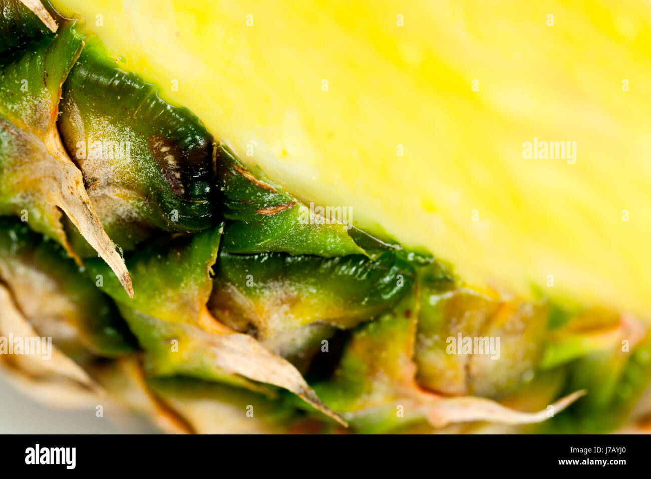 Les fruits tropicaux exotiques fruits progénitures tropical fruits vitamines l'ananas Banque D'Images