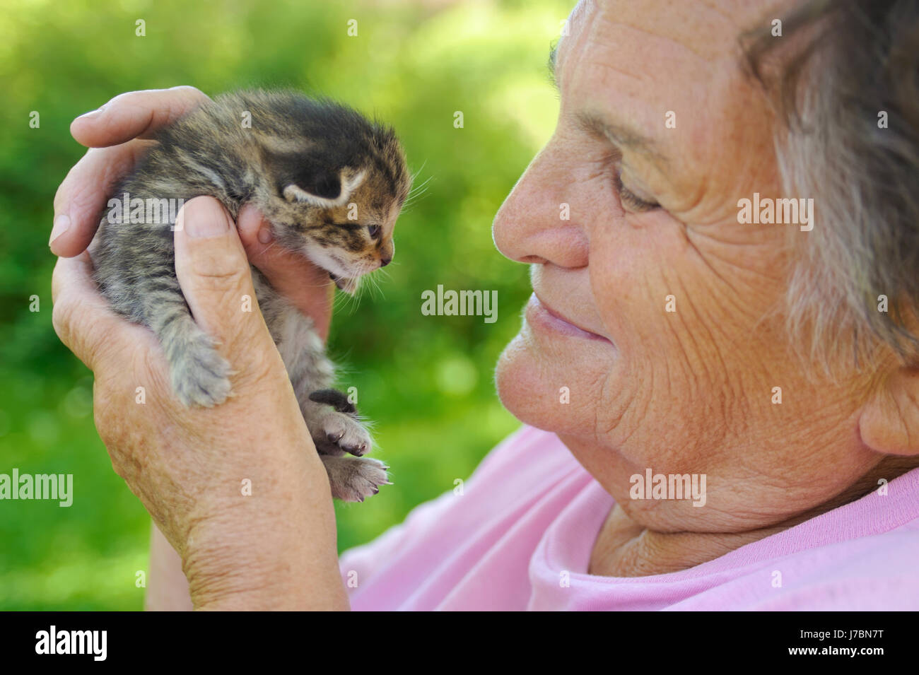 Main mains femme petite toute petite courte bébé chat chaton possession holding Banque D'Images