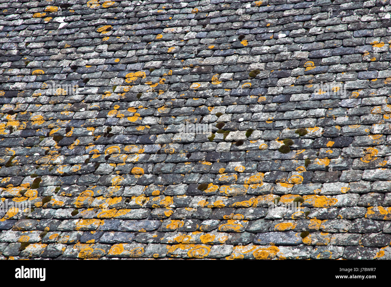 Sur le toit en ardoise ardoise prévue des bardeaux de toiture toiture en bardeaux recouverts de pierre naturelle Banque D'Images