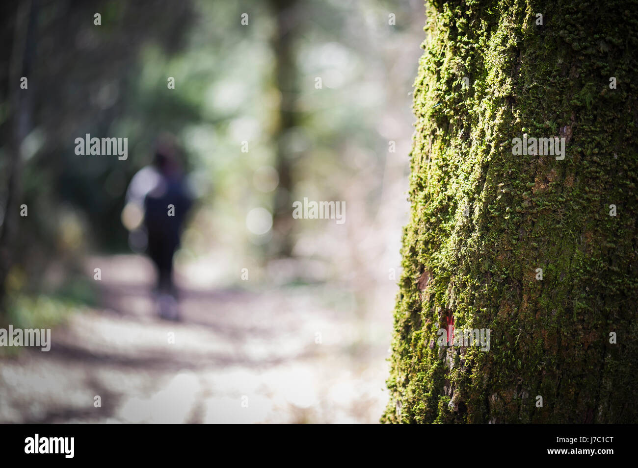 Randonnée dans le Var Banque D'Images