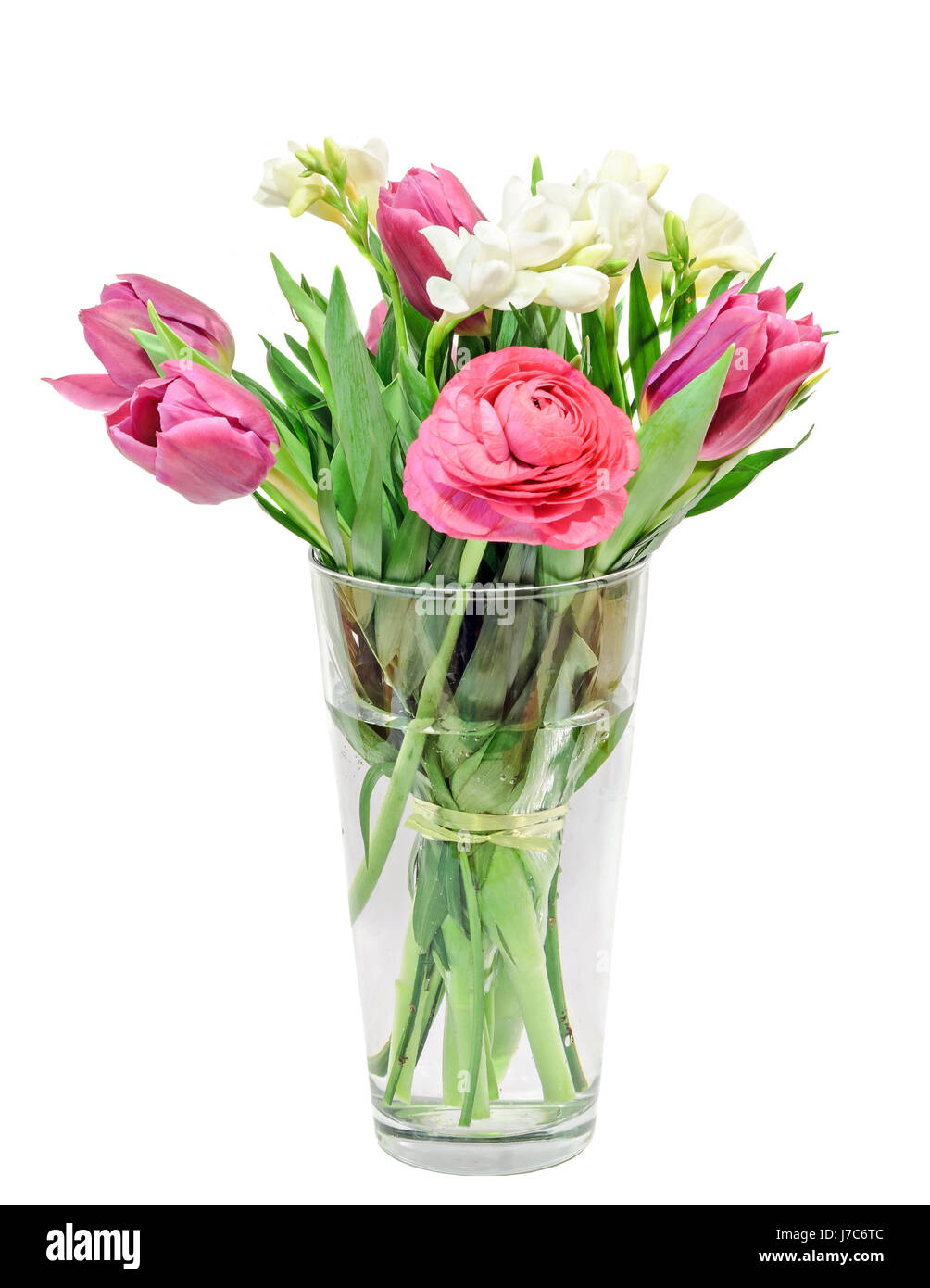 Tulipes rouges, blancs, freesias renoncules fleurs, bouquet, bouquet de fleurs dans un vase transparent rempli d'eau, isolé, fond blanc. Banque D'Images