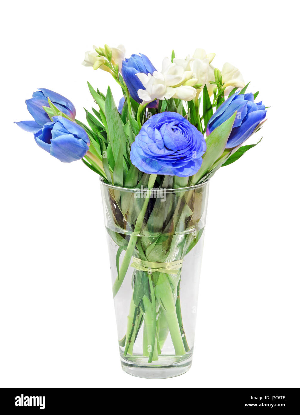 Tulipes bleu, blanc freesia, renoncules fleurs, bouquet, bouquet de fleurs dans un vase transparent rempli d'eau, isolé, fond blanc. Banque D'Images