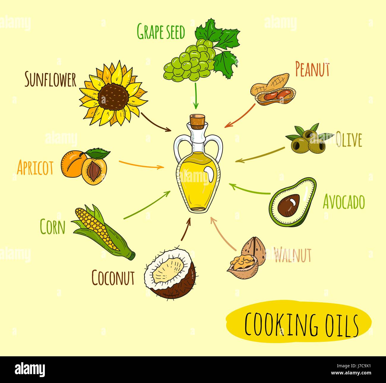 Infographie dessinés à la main, d'huile de cuisson sortes Illustration de Vecteur