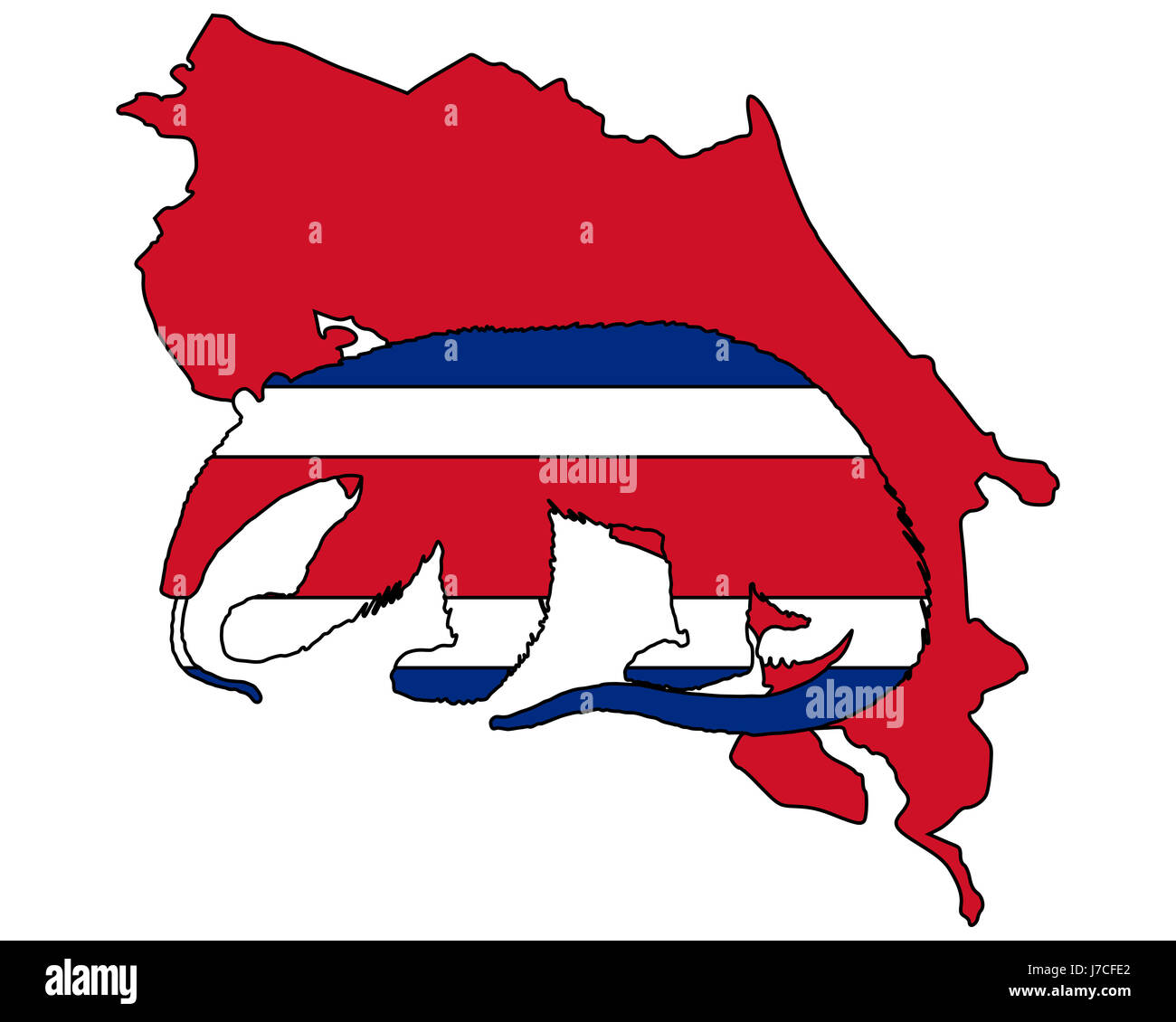 Amérique Centrale Amérique du Sud drapeau signe aardvark bleu de couleur en option Banque D'Images