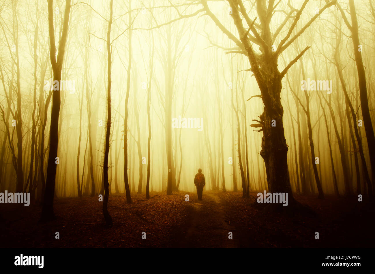 Homme marchant dans la forêt à l'automne automne surréaliste coucher du soleil Banque D'Images