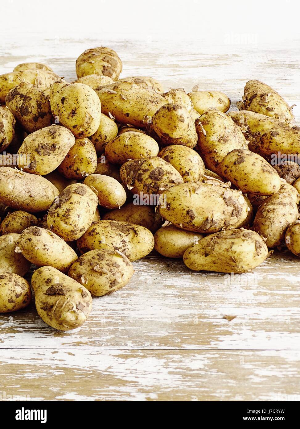 Sortes de pommes de terre Banque de photographies et d’images à haute résolution Alamy