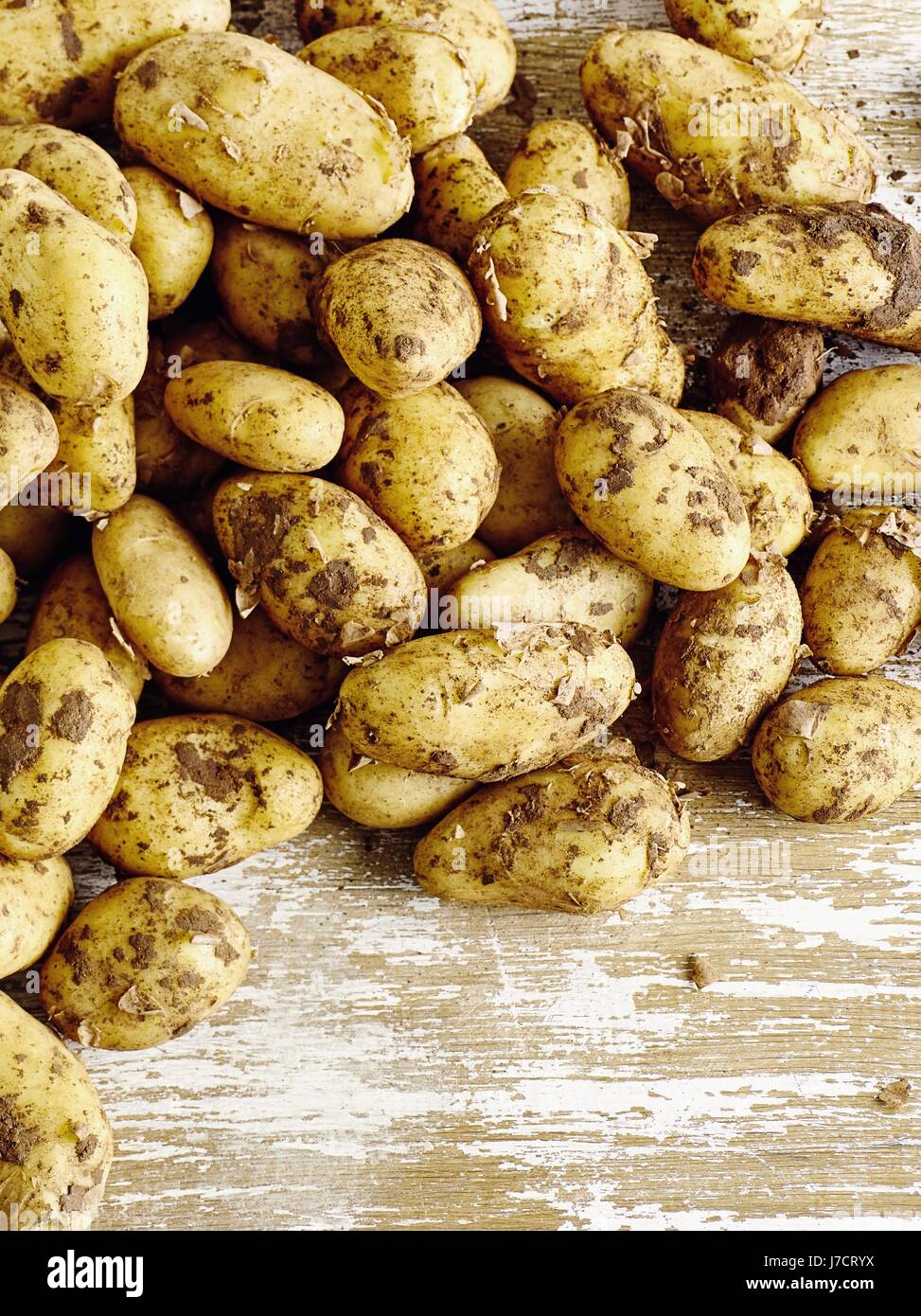 Sortes de pommes de terre Banque de photographies et d’images à haute résolution Alamy