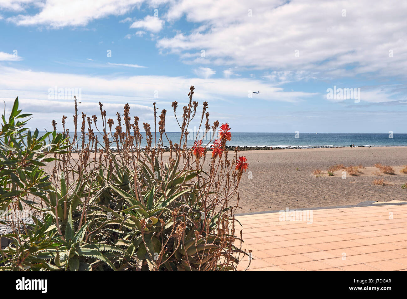 Lanzarote, Playa de Matagorda Banque D'Images
