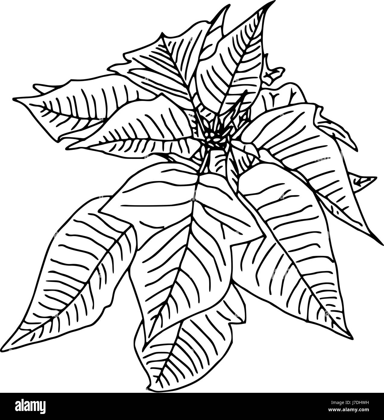 Couleur peinture illustration isolé dessiner cartoon art objet feuille couleur isolé Banque D'Images