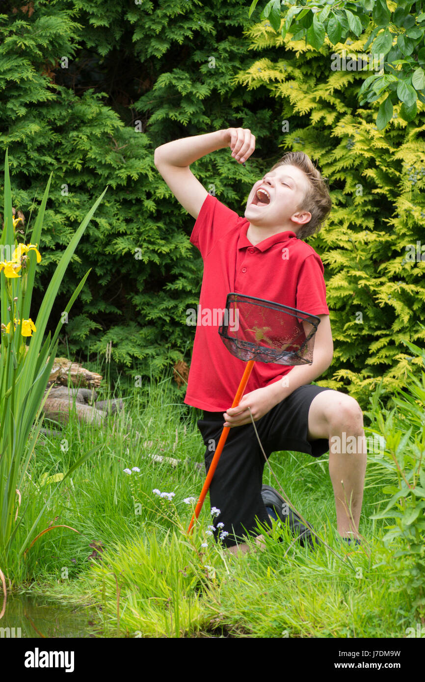 Garçon de onze ans avec un pendage vers l'étang net dans un étang de jardin qu'il a contribué à faire. Faire semblant d'avaler un têtard. Sussex, UK. Peut Banque D'Images