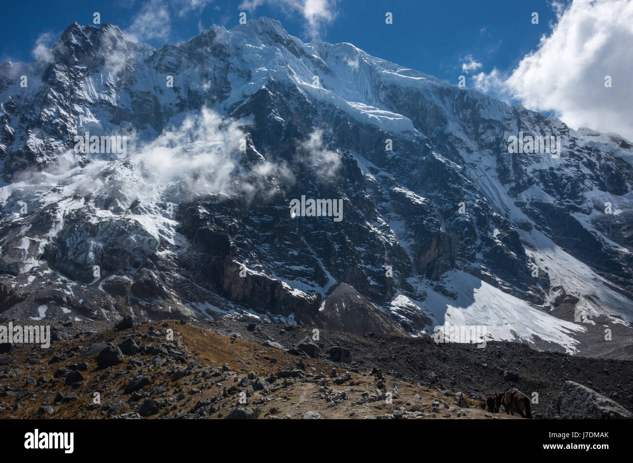 Salcantay (6 271 m) - le plus haut sommet de la cordillère de Vilcabamba à Andes péruviennes. Banque D'Images