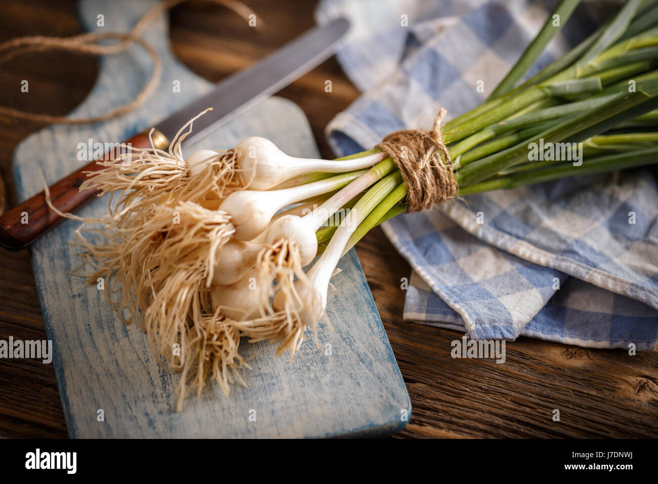 Fraîches et naturelles épicé de l'ingrédient alimentaire - de l'ail vert Banque D'Images