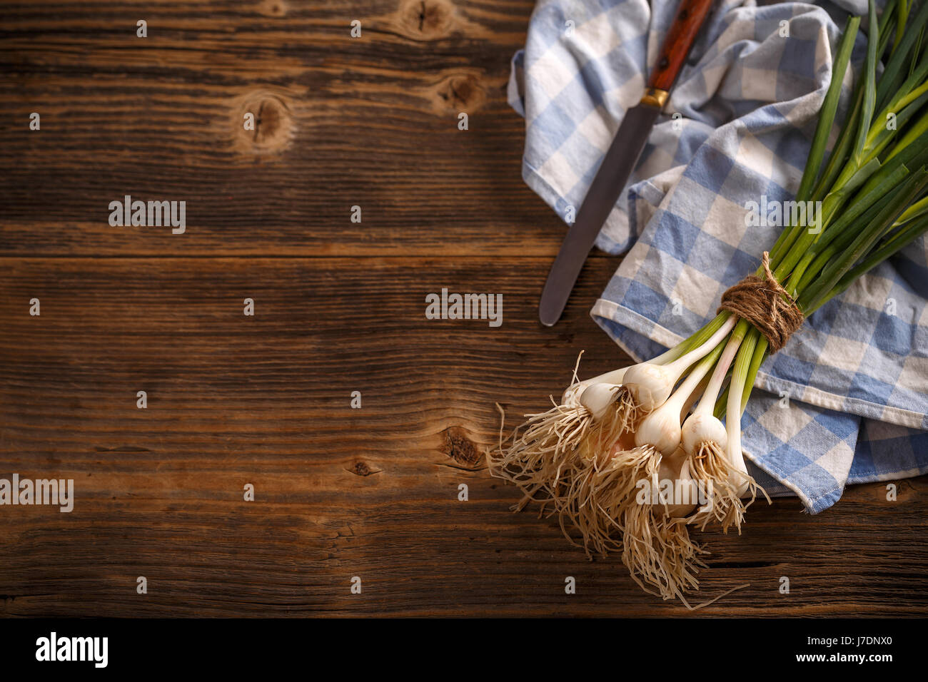 Bande de jeunes feuilles d'ail vert avec un espace réservé au texte Banque D'Images