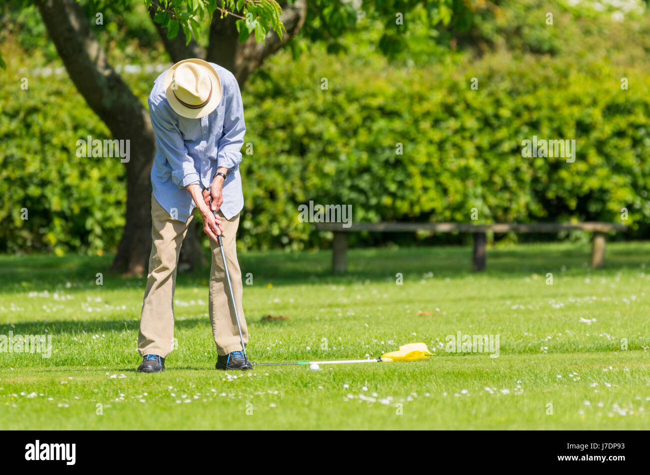 La mise. Homme âgé mise sur un green en été au Royaume-Uni. Banque D'Images