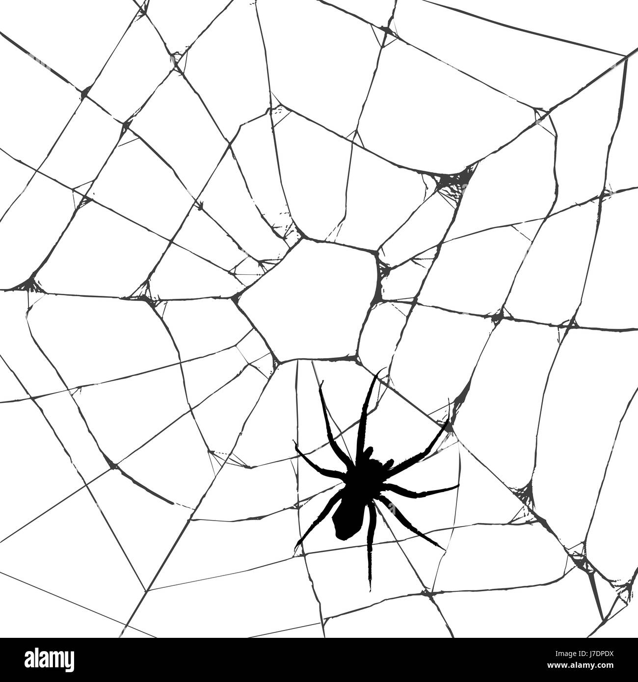 Projet de conception de modèle de plan projet concept abstrait toile creepy insecte Banque D'Images