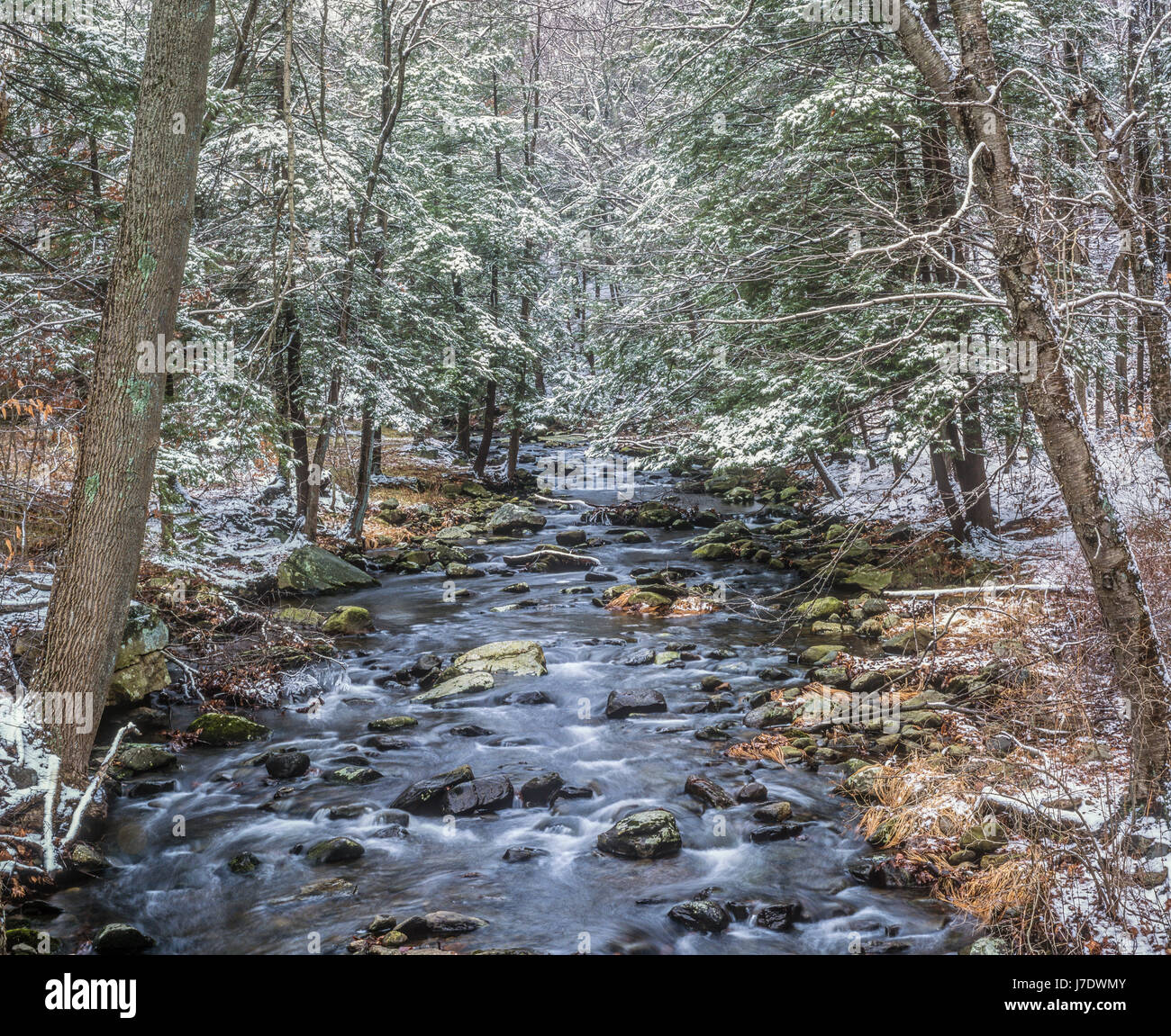 Parc d'État Harriman, New York State Banque D'Images