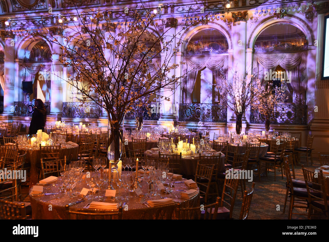 Intérieur de la Plaza Hotel à New York City, qui accueille la 20e Conférence annuelle de Bergh Ball. Où : New York City, New York, United States Quand : 20 Avr 2017 Crédit : Rob riche/WENN.com Banque D'Images