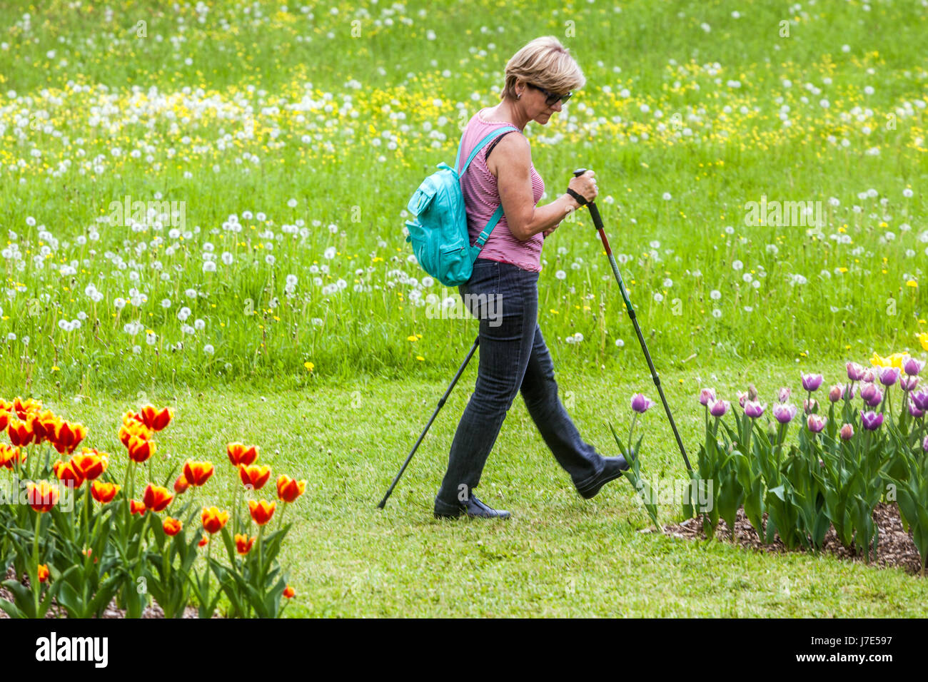 Femme nordique marchant dans le jardin fleuri pelouse Banque D'Images
