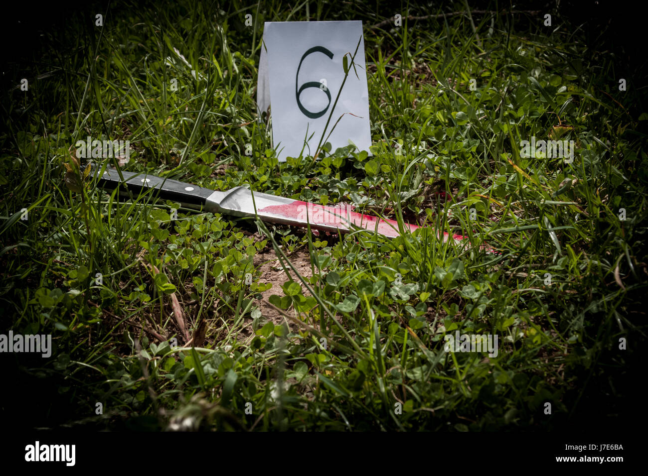 La scène du crime, le meurtre, l'enquête, le couteau sanglant sur l'herbe, dans le cadre d'une enquête Banque D'Images