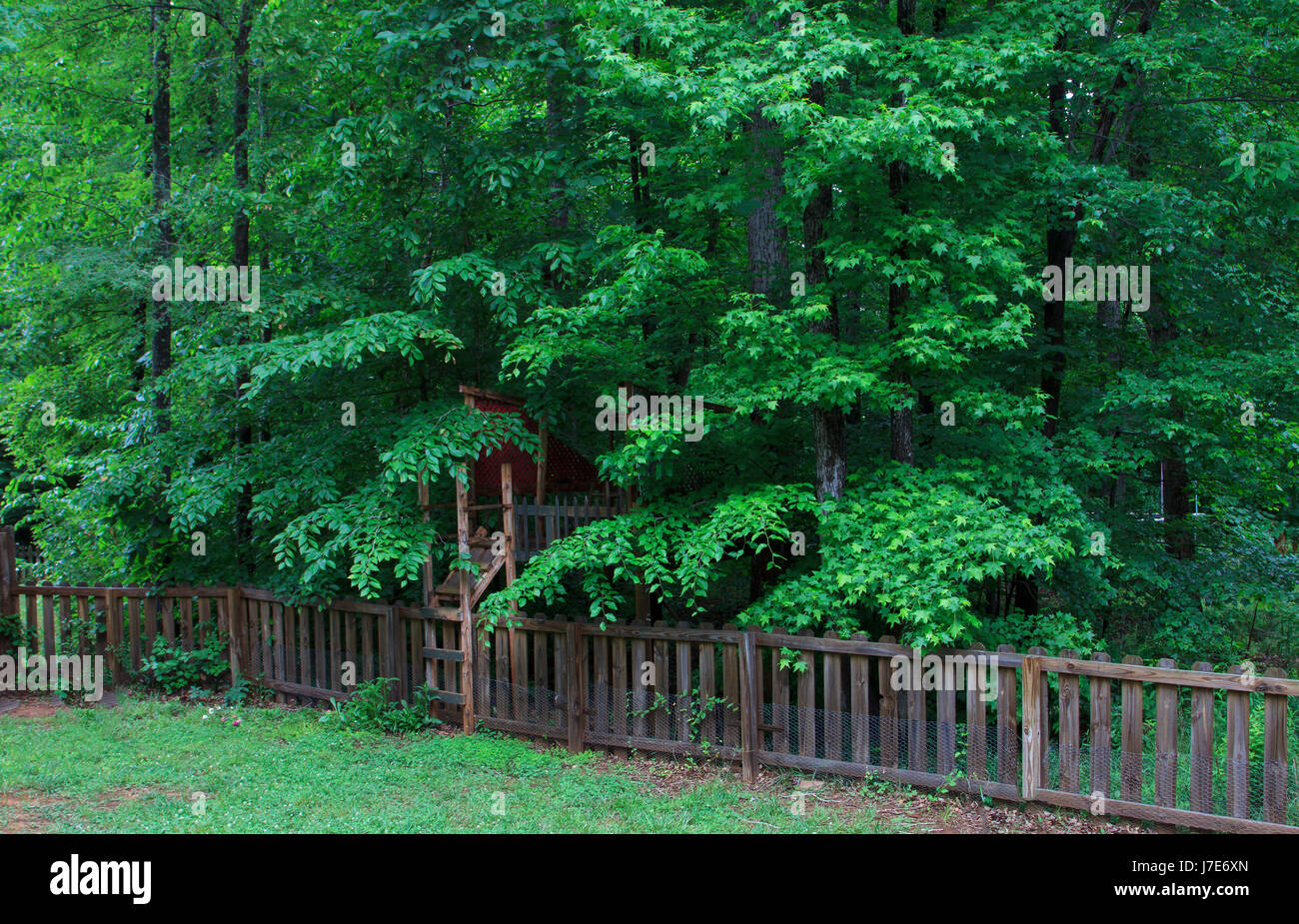 Jardin maison de l'arbre et cachés dans les arbres verts clôture Banque D'Images