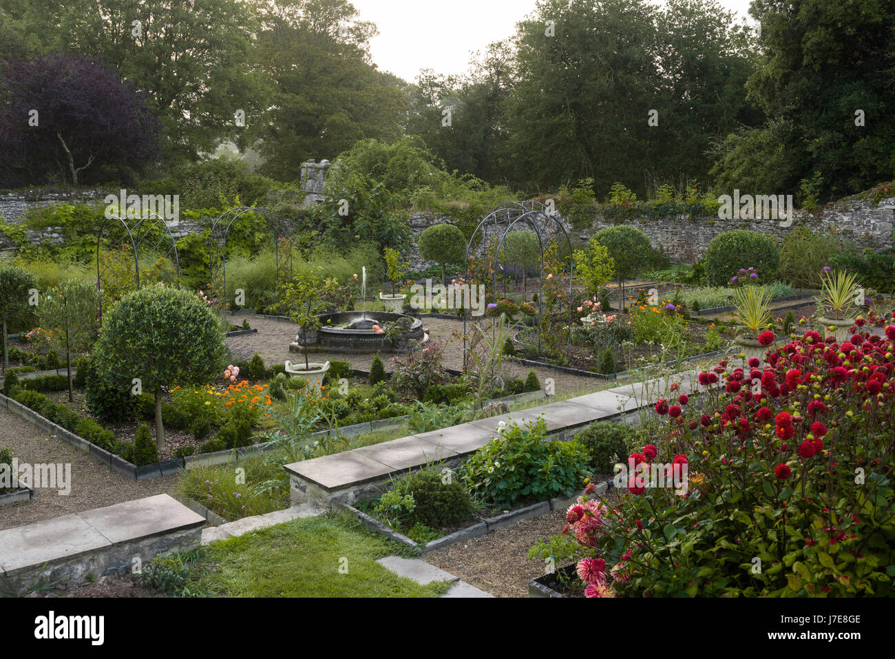 Neat chevrons lits des potagers terrasse inférieure avec arches et topiaires, wirework Banque D'Images