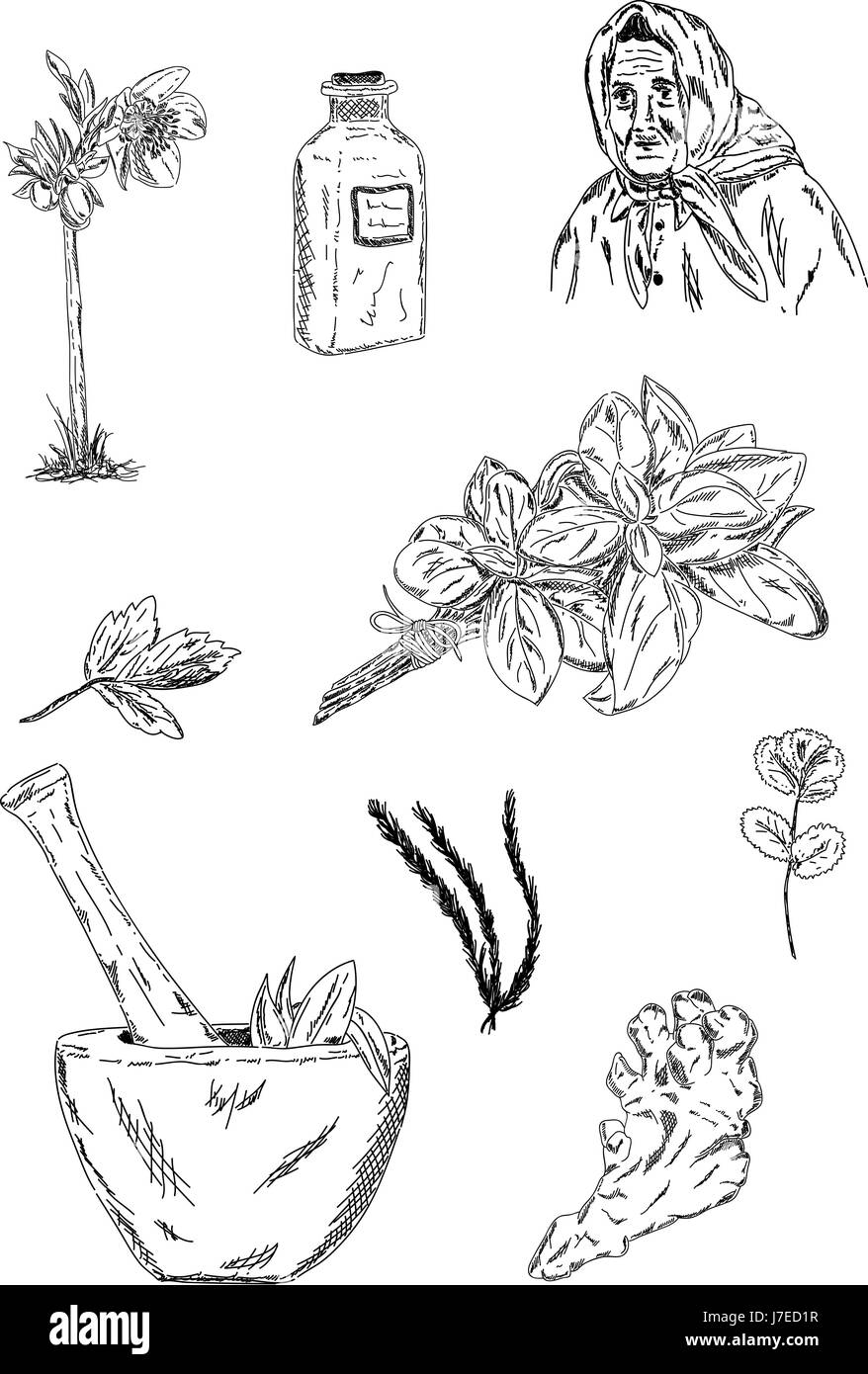 Illustration couleur isolé tirage peinture alimentaire cartoon aliment santé outil feuille Banque D'Images