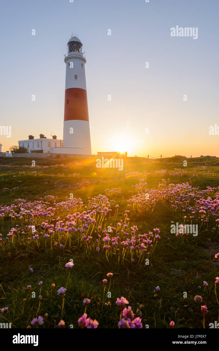 Portland Bill, Dorset, UK. 25 mai, 2017. Soleil se lève derrière le phare sur un claear et lumineux matin avec promesse de la journée la plus chaude depuis le début de l'année. Prévisions des températures d'être au milieu des années 20 centigrades. Crédit : Dan Tucker/Alamy Live News Banque D'Images