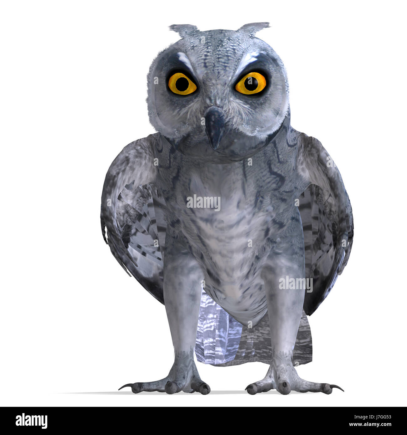 Animaux oiseaux de nuit nuit bec illustration chouette griffe twitter chirp mis quill Banque D'Images