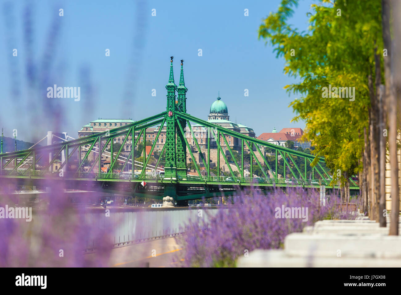 Vue de Budapest Pont de la liberté sur l'été Banque D'Images