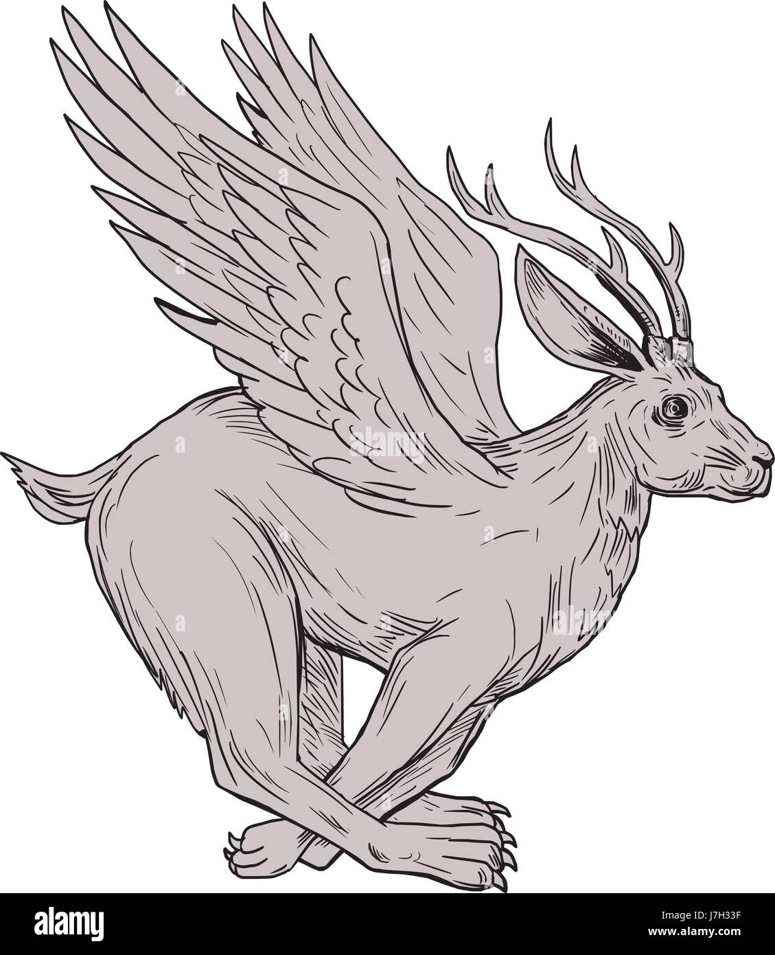Style croquis dessin illustration d'un Wolpertinger bavarois, dans le folklore, un lièvre mythique avec bois, crocs et wings running vu de côté Illustration de Vecteur