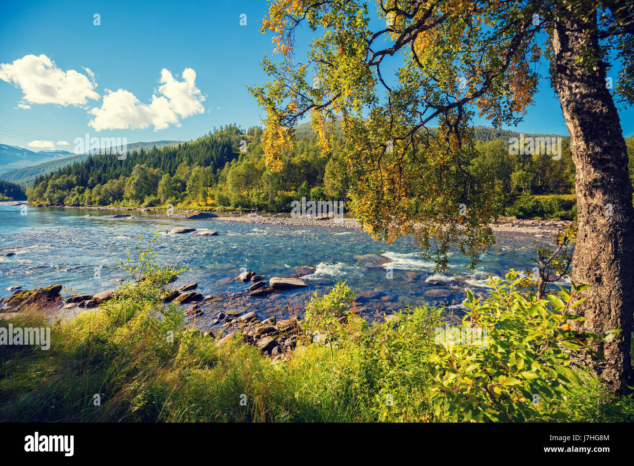 Beau rivage d'une rivière de montagne. La nature sauvage de la Norvège Banque D'Images