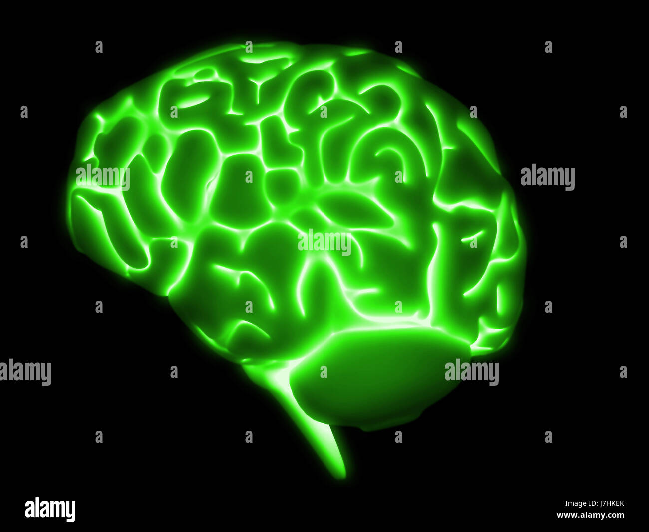 Les droits de l'être humain l'intelligence du cerveau anatomie neurologie l'éducation l'art d'orgue Banque D'Images