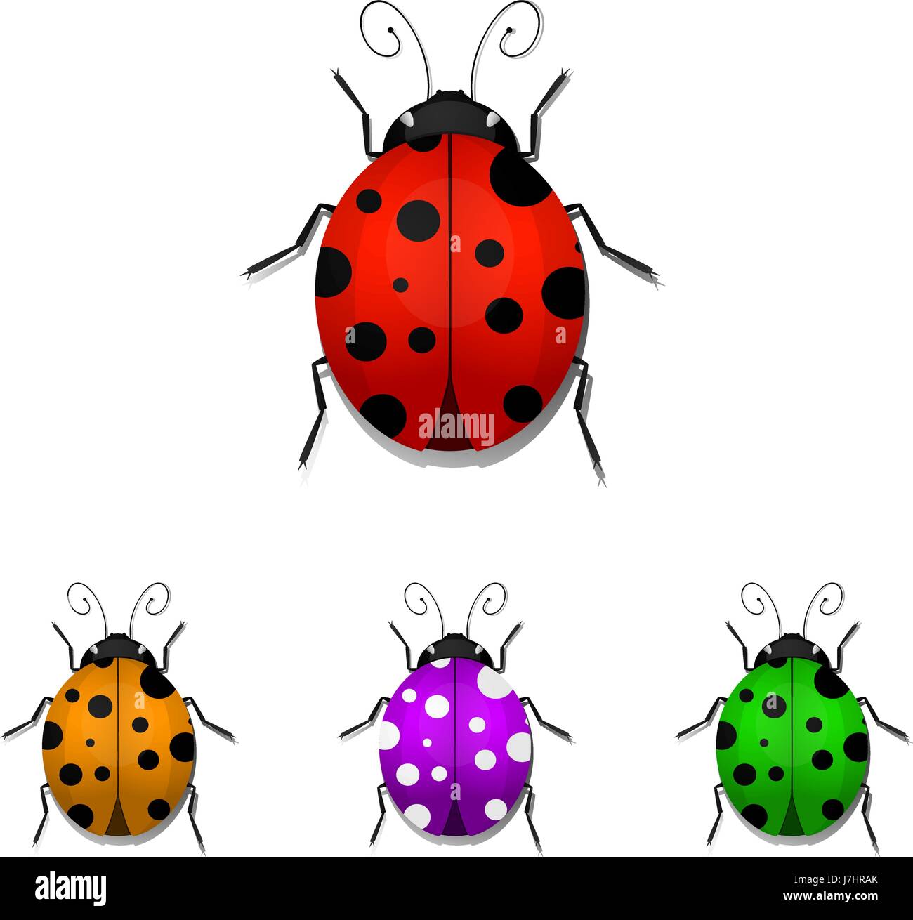 Ensemble de coccinelles colorées isolé sur fond blanc. Vector illustration Illustration de Vecteur