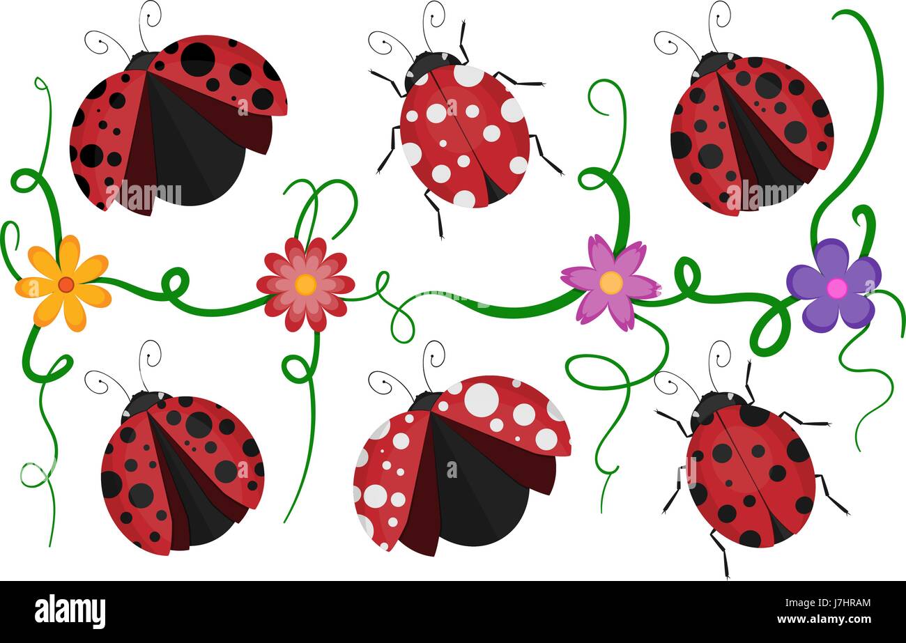 La Coccinelle rouge et noir brillant avec aile tachetée, vector modèle de ramper les coccinelles et fleurs colorées isolé sur fond blanc. Illustration de Vecteur