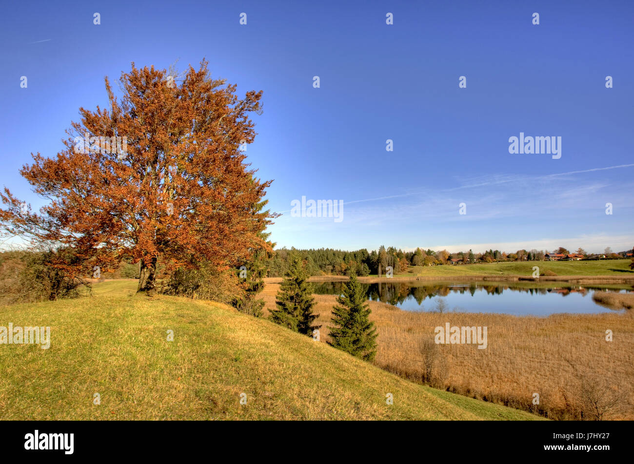 L'automne à l'Allgaeu osterseen Banque D'Images