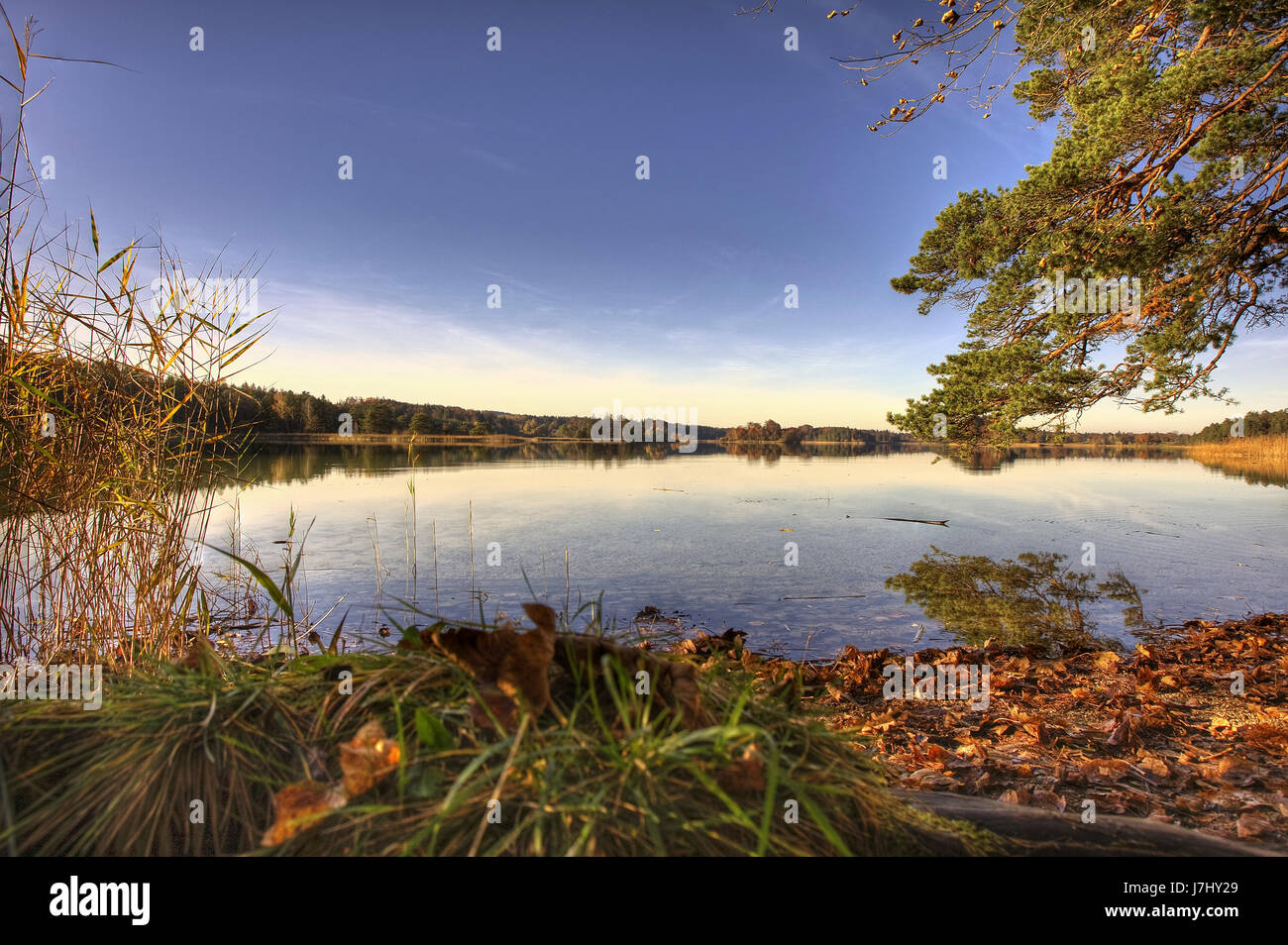 L'osterseen en automne Banque D'Images
