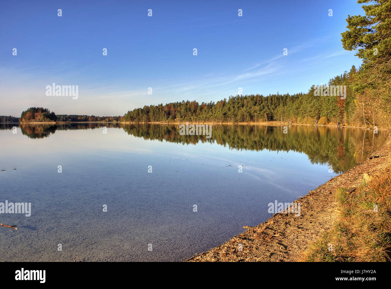 L'osterseen en automne Banque D'Images