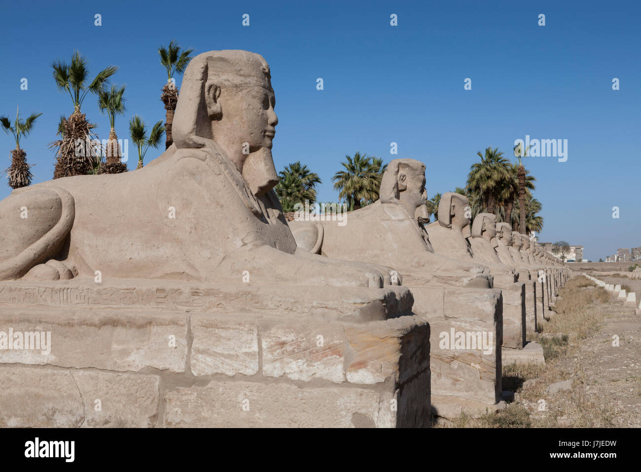 Avenue de Sphinx, le temple de Louxor, la ville de Louxor, Egypte Banque D'Images