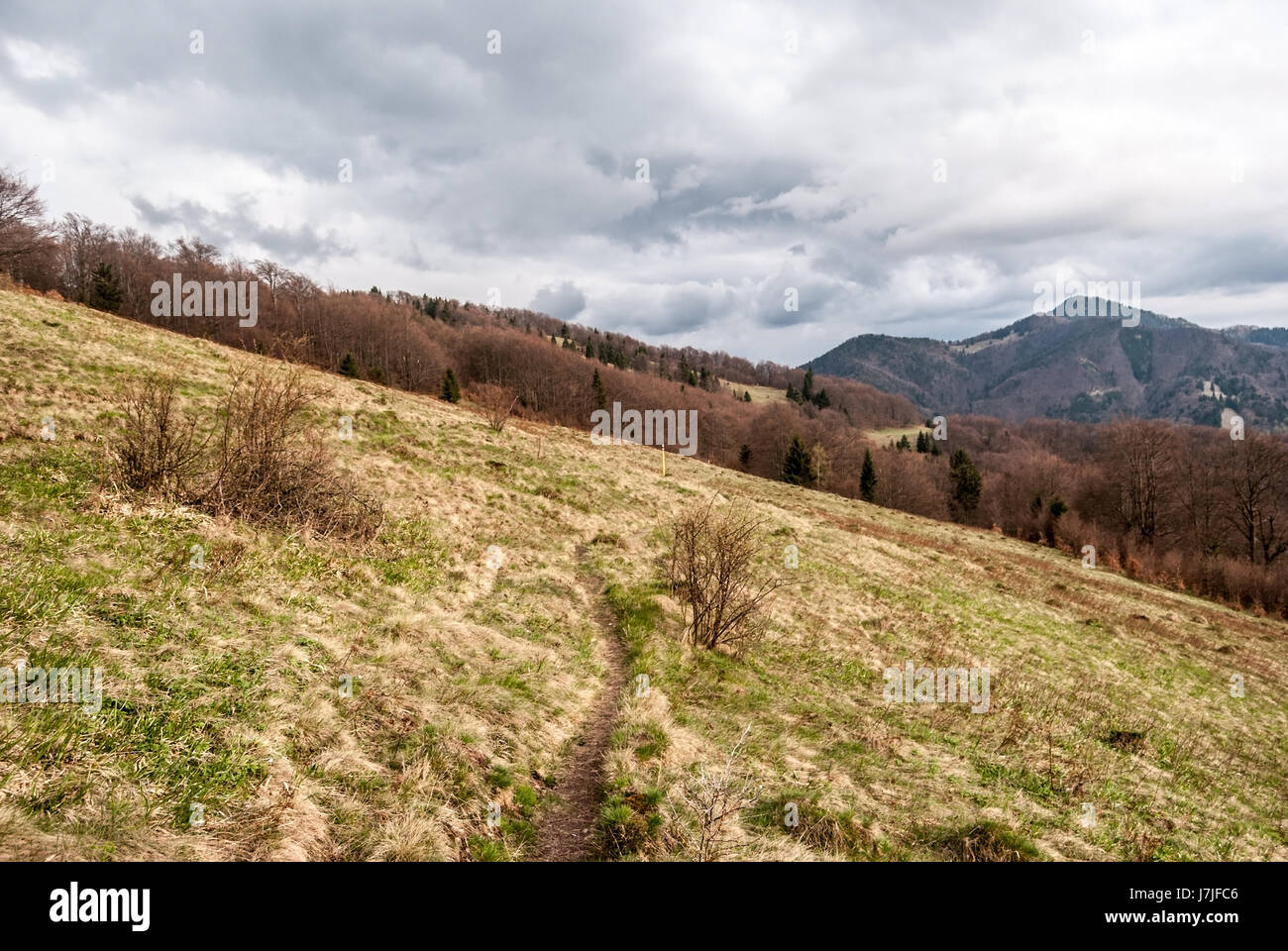 Velka Fatra printemps montagnes en Slovaquie avec prairie de montagne, sentier pédestre et Hills Banque D'Images
