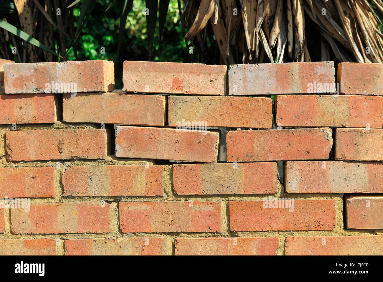 Un mur de brique sans mortier de ciment / entre toutes les briques. Le mur  peut avoir été endommagé ou chuté au puis reconstruite par cowboy builder .  UK Photo Stock - Alamy