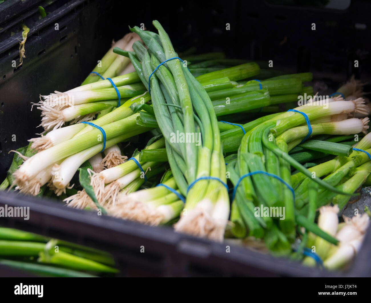 Épicerie asiatique locale a allée des aliments emballés, divers fruits, viandes, et des friandises. Un magasin local fournissant des aliments provenant d'autres pays. Banque D'Images